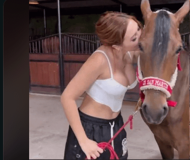 Find Pornstar – who is she? Find Pornstar – who is she?