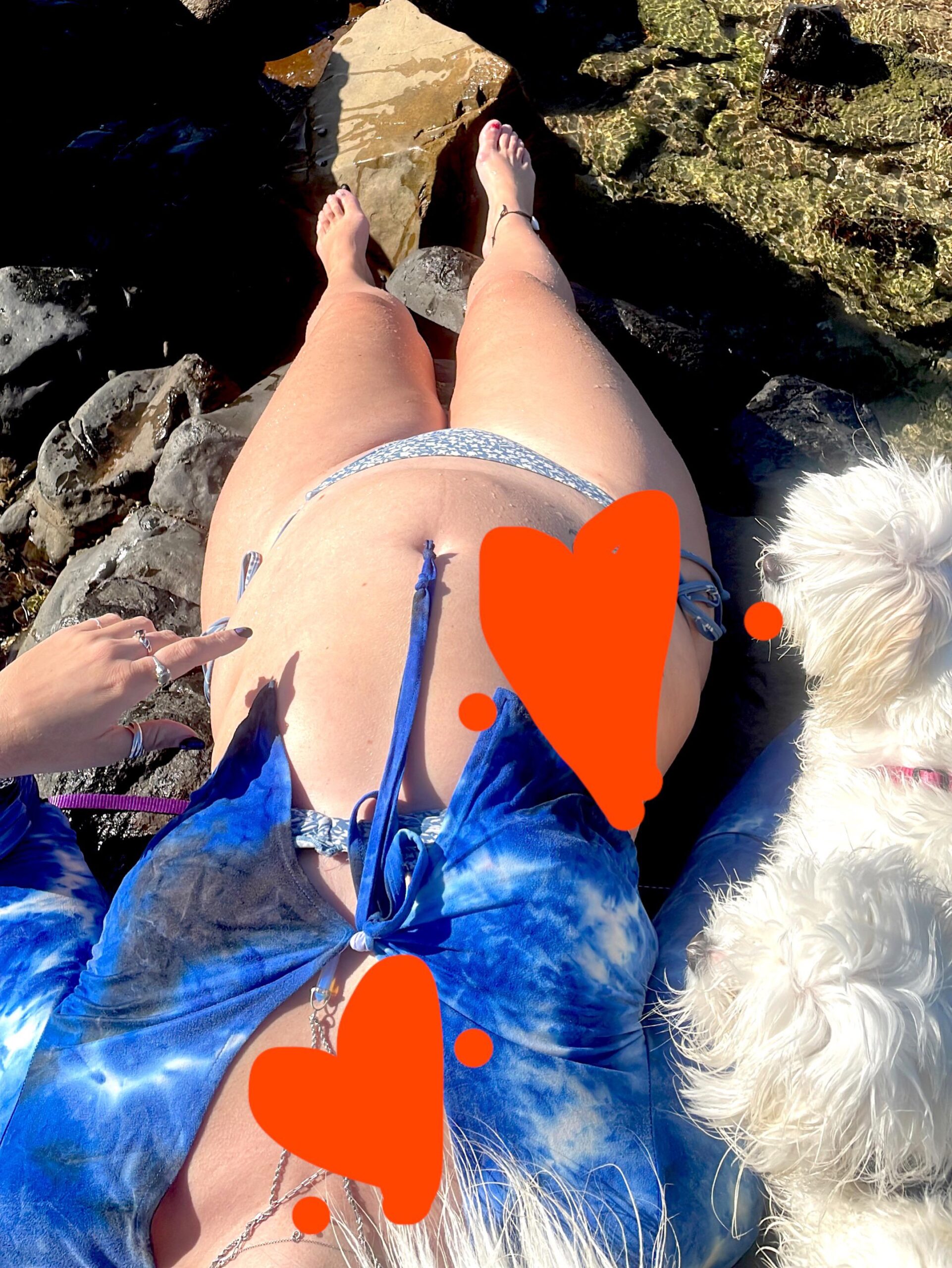 Find Pornstar – My fairy nerd loves to be railed and never says no ! Find Pornstar – My fairy nerd loves to be railed and never says no !